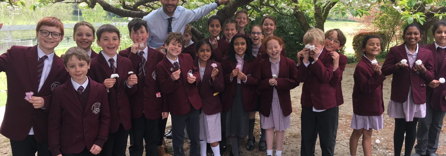 Beautiful Botany in Year 5