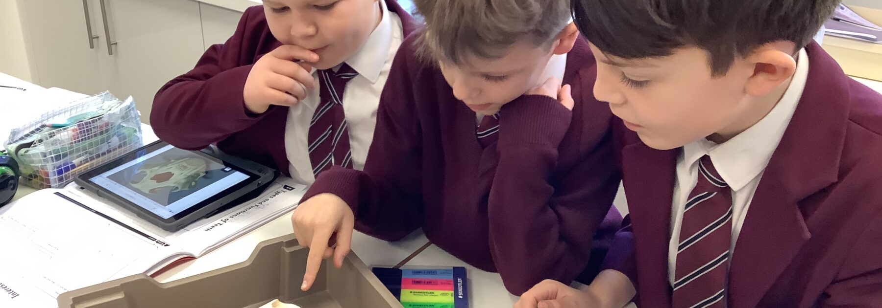 Smile Year 4! Let’s See Your Teeth