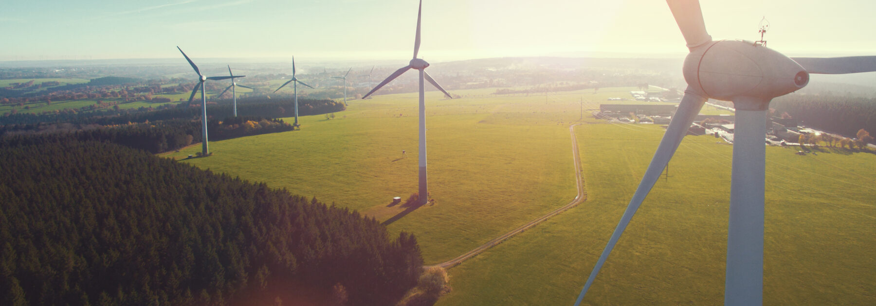 Renewables Leader Brings Sustainable Energy to Life