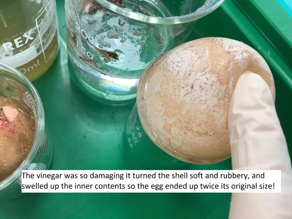 23 Vinegar