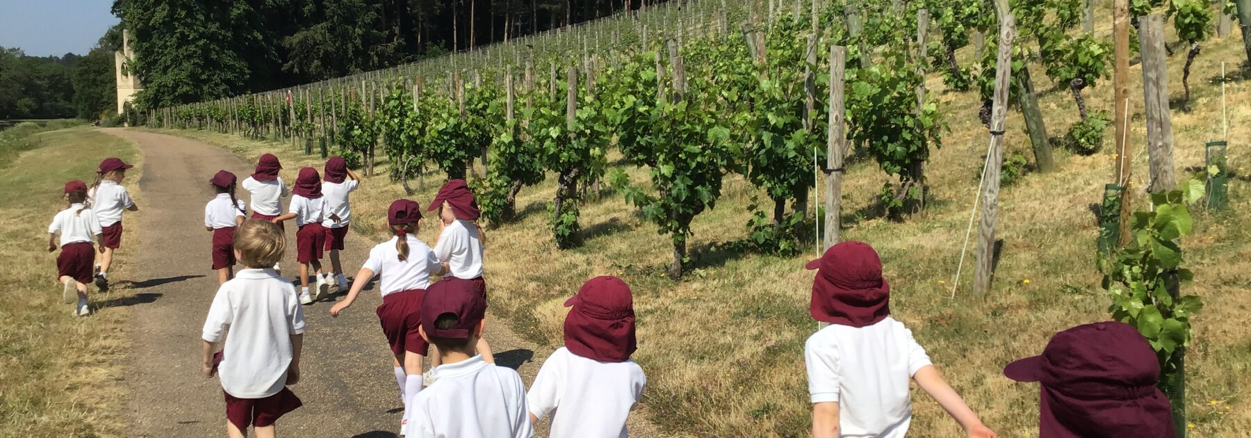 A Sunny Outing to Painshill Park for Reception
