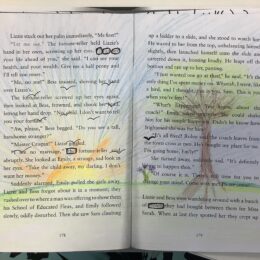Year 4 Art Blackout Poetry2