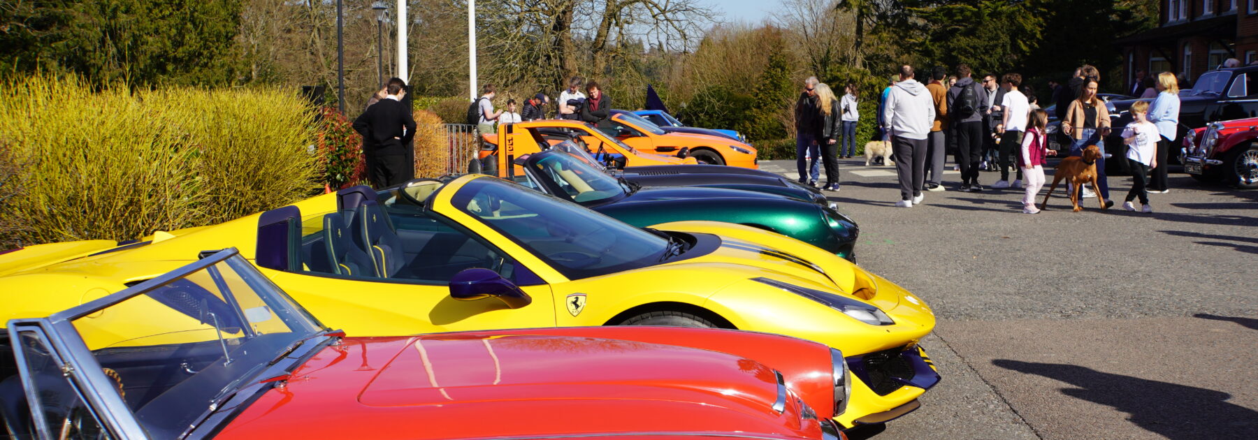Super & Classic Car Sunday Lines Up