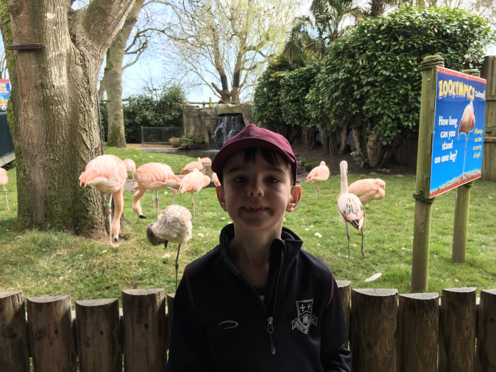 IMG 1707