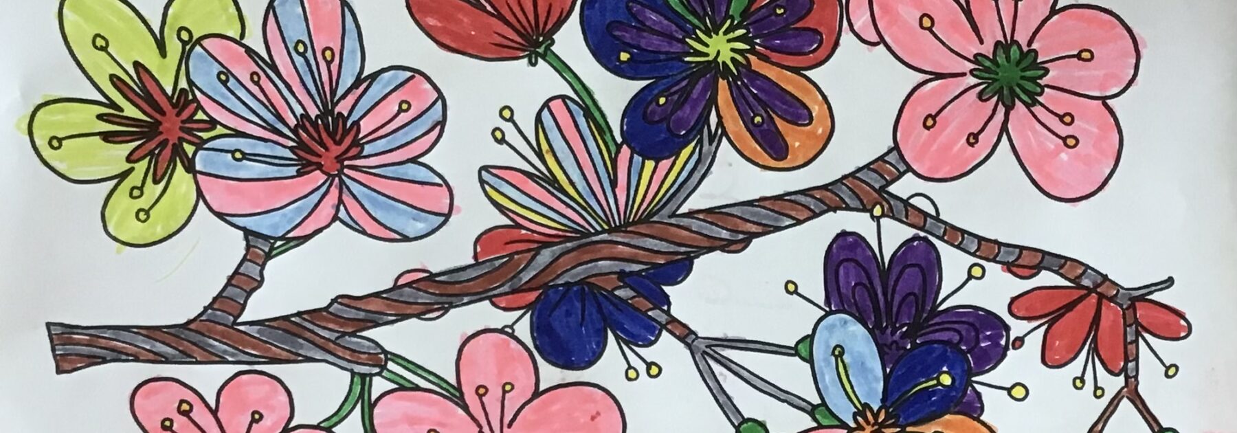 Mindful Colouring Club