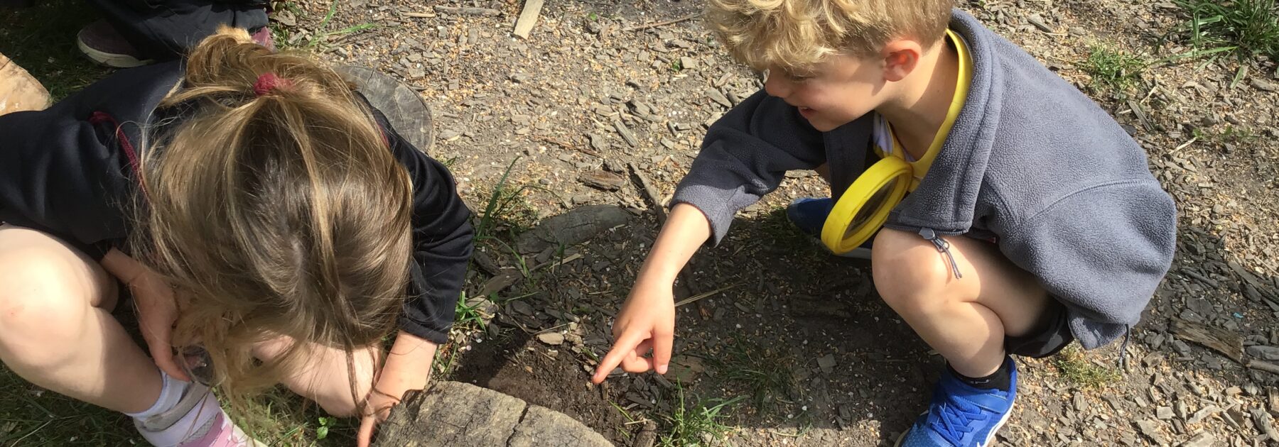Year 1 Wonder at Woodlice