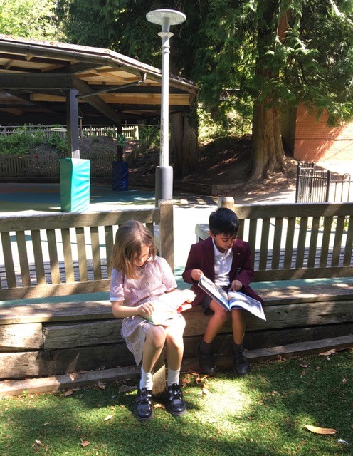 Reading11