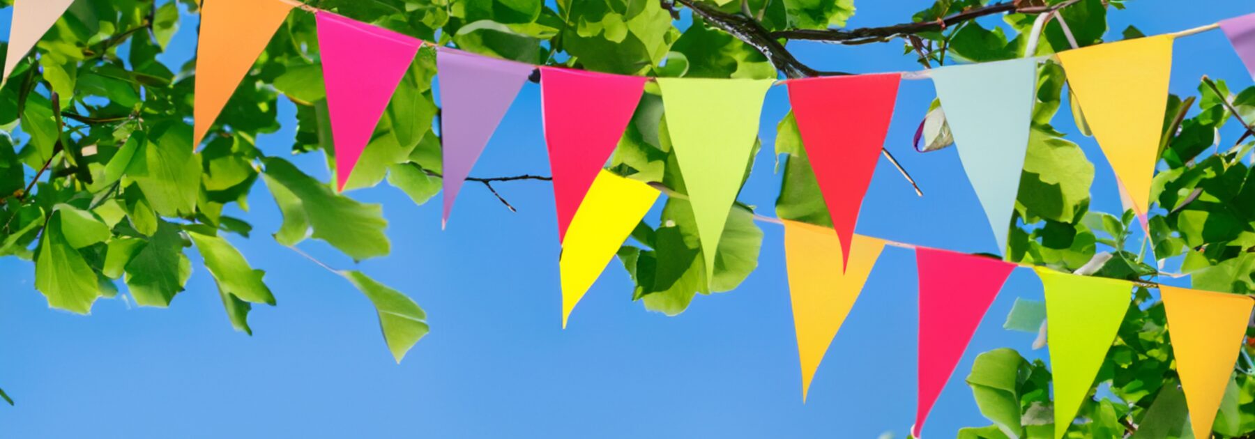 PA Summer Fair