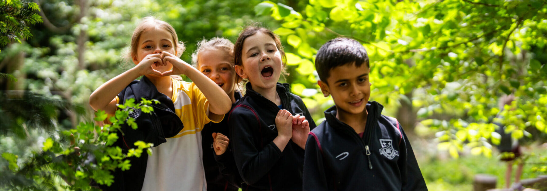 Year 3’s Woodland Adventures Under the Summer Sky