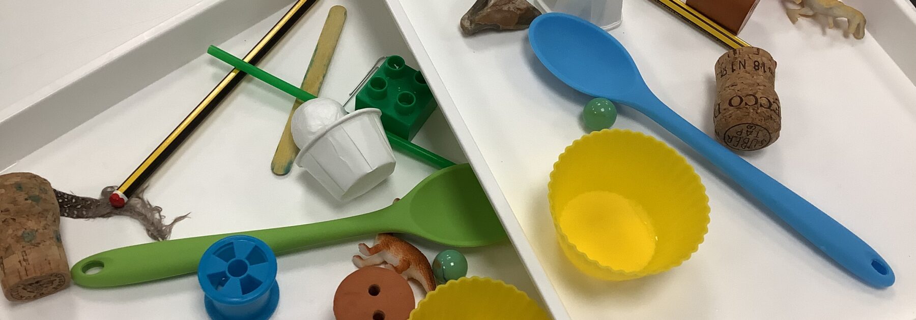 Year 4’s First Lab Practical… Does it Float or Sink?
