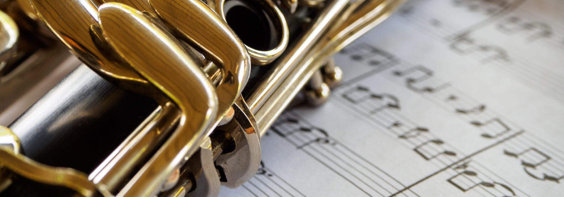 First Steps in Musical Performance