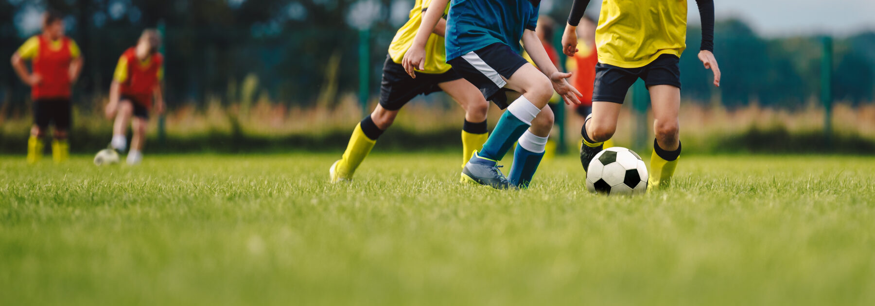 U9s Keep Up the Winning Streak