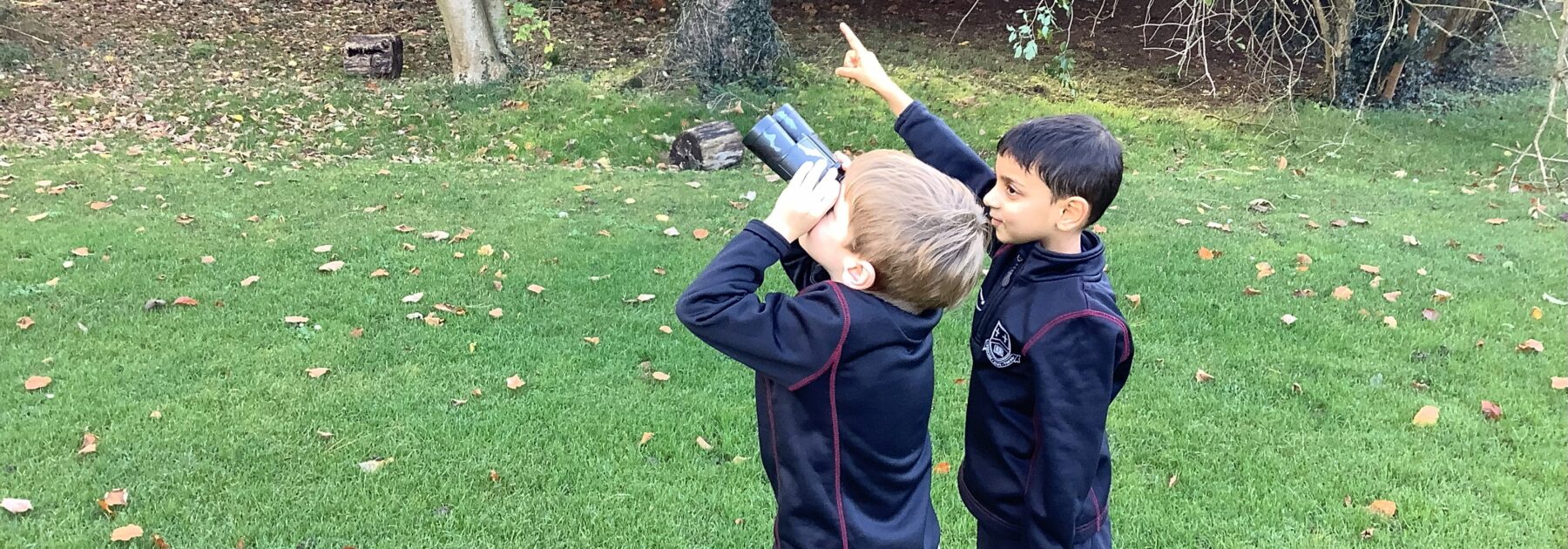 Reception Takes Off with Swifts