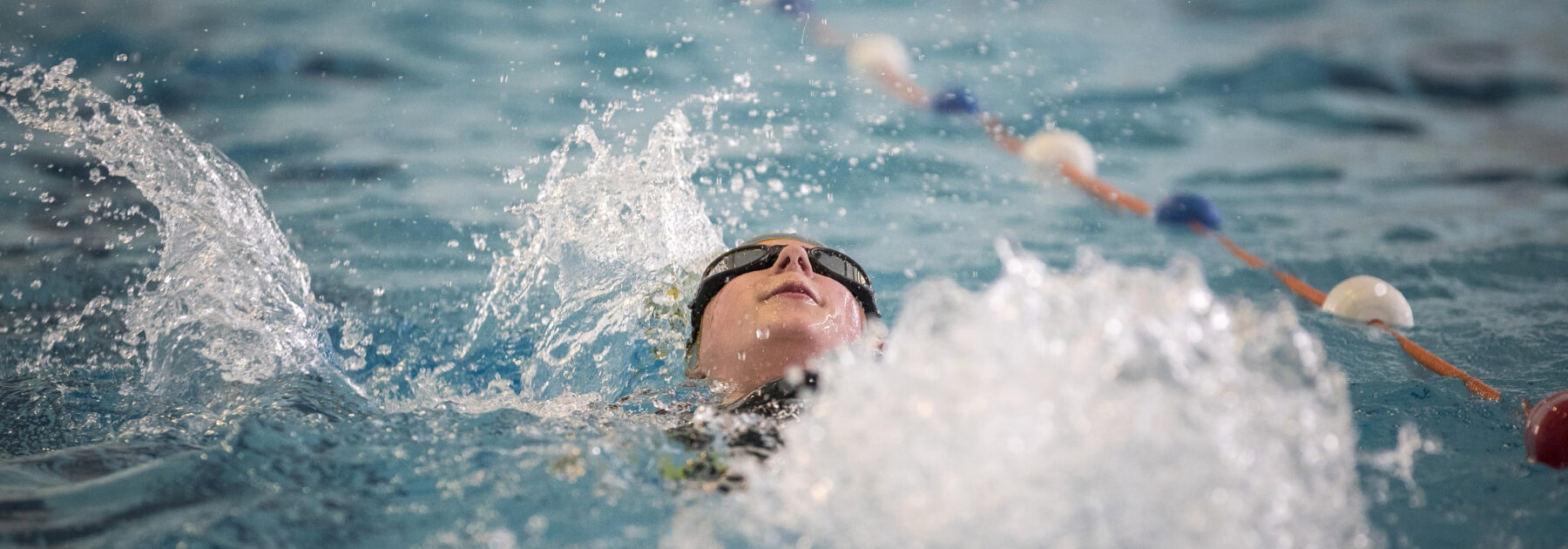 Stunning Swimming Success!