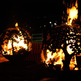 DSC04219