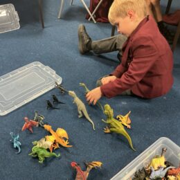 IMG 0022