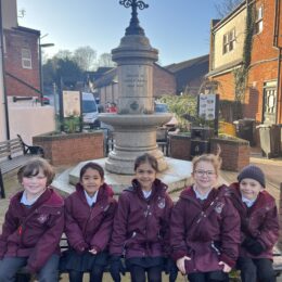 IMG 7611