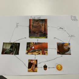 Thumbnail Image4