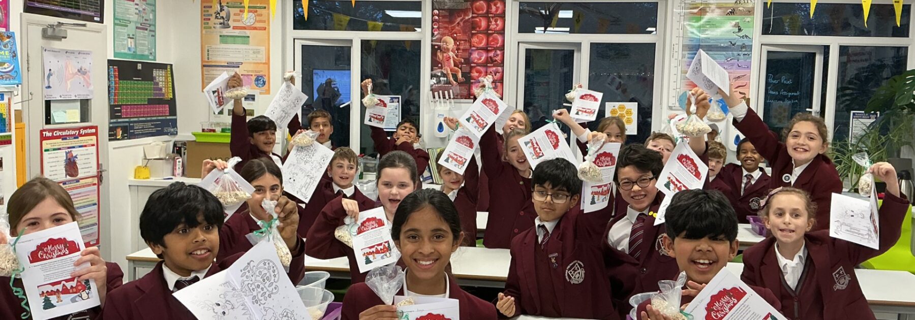 Christmas Science Practical!