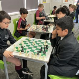 IMG 0031