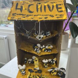 IMG 0806
