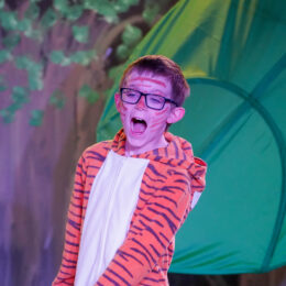 JungleBook 66