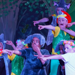 JungleBook 8