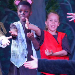 JungleBook 84